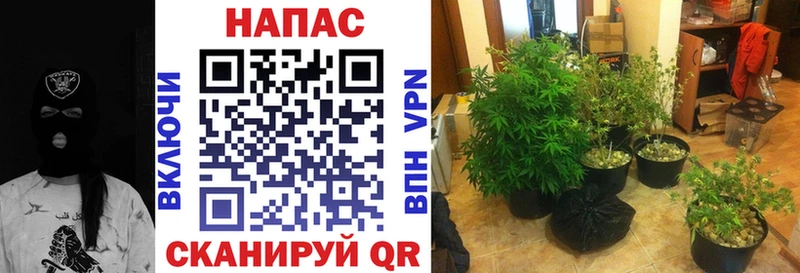 Наркошоп Новокузнецк Cocaine АМФ Alpha PVP Марихуана KRAKEN как войти Меф
