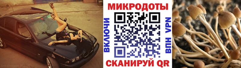 наркошоп  сайты даркнета Telegram  OMG как зайти  Галлюциногенные грибы мухоморы  Новокузнецк 