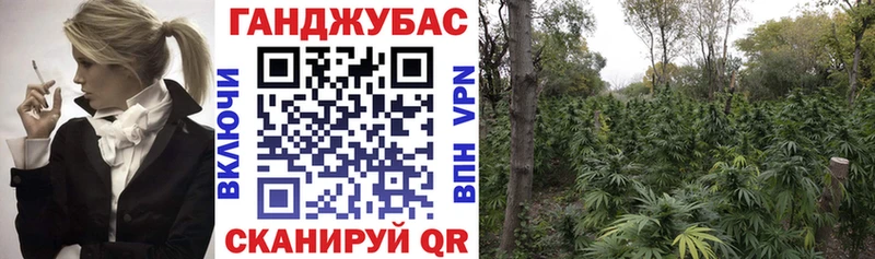 Бошки Шишки Amnesia Новокузнецк
